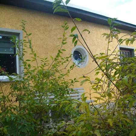 Fröhlich *