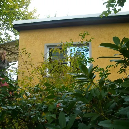 Fröhlich *